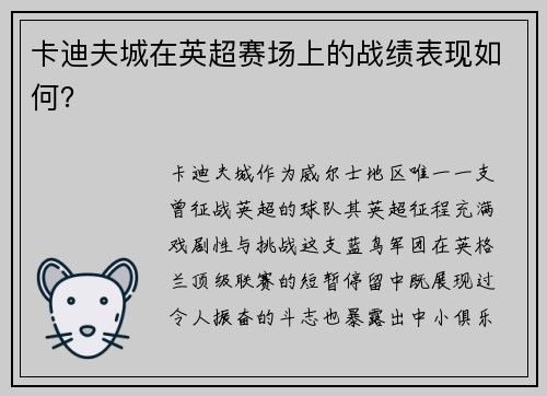 卡迪夫城在英超赛场上的战绩表现如何？